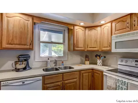 906 Roanoke Dr, Springfield, IL 62702 photo 13