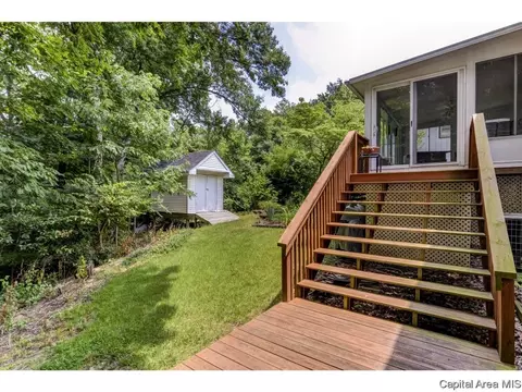 906 Roanoke Dr, Springfield, IL 62702 photo 30