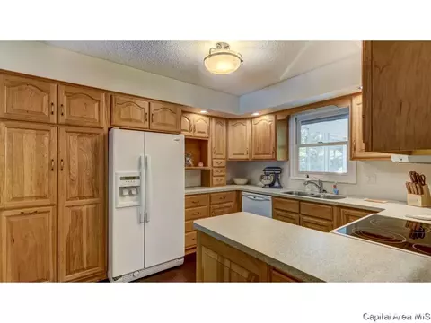 906 Roanoke Dr, Springfield, IL 62702 photo 10