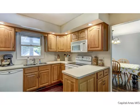 906 Roanoke Dr, Springfield, IL 62702 photo 14