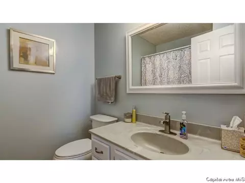 906 Roanoke Dr, Springfield, IL 62702 photo 23