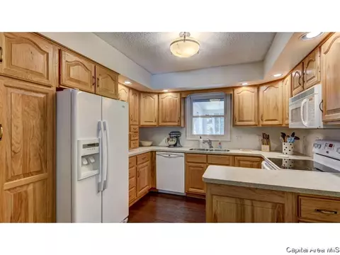 906 Roanoke Dr, Springfield, IL 62702 photo 11