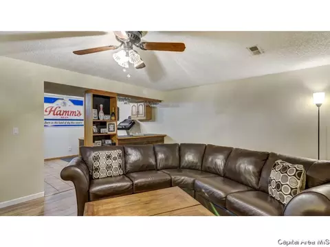 906 Roanoke Dr, Springfield, IL 62702 photo 24