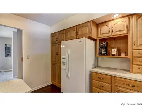 906 Roanoke Dr, Springfield, IL 62702 photo 12