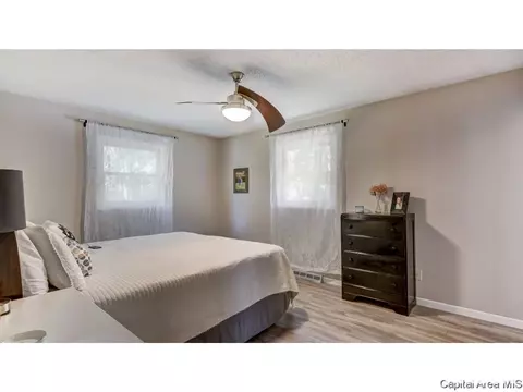 906 Roanoke Dr, Springfield, IL 62702 photo 19