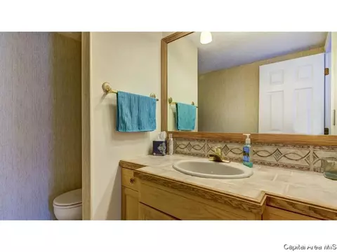 906 Roanoke Dr, Springfield, IL 62702 photo 18