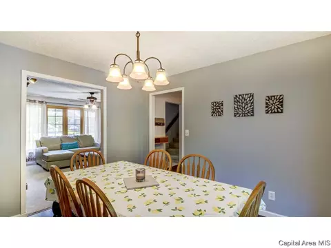 906 Roanoke Dr, Springfield, IL 62702 photo 8