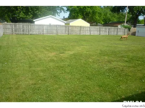 3217 S Rita Ave, Springfield, IL 62703 photo 3
