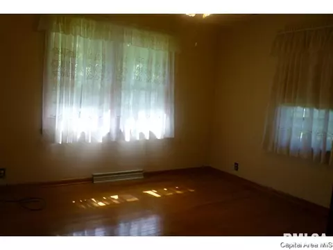3217 S Rita Ave, Springfield, IL 62703 photo 15