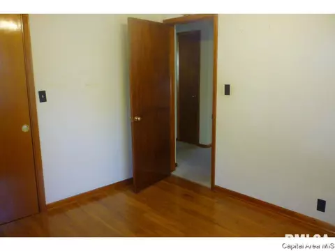3217 S Rita Ave, Springfield, IL 62703 photo 20
