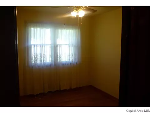 3217 S Rita Ave, Springfield, IL 62703 photo 17