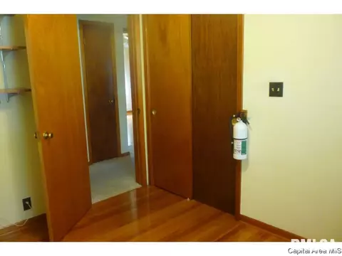 3217 S Rita Ave, Springfield, IL 62703 photo 18