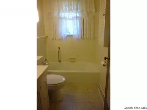 3217 S Rita Ave, Springfield, IL 62703 photo 13