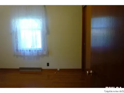 3217 S Rita Ave, Springfield, IL 62703 photo 19
