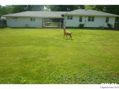3217 S Rita Ave, Springfield, IL 62703 photo 2