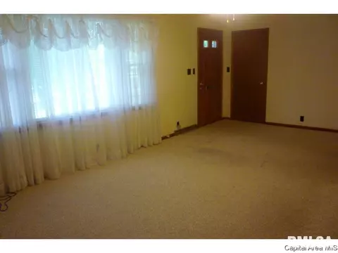 3217 S Rita Ave, Springfield, IL 62703 photo 10