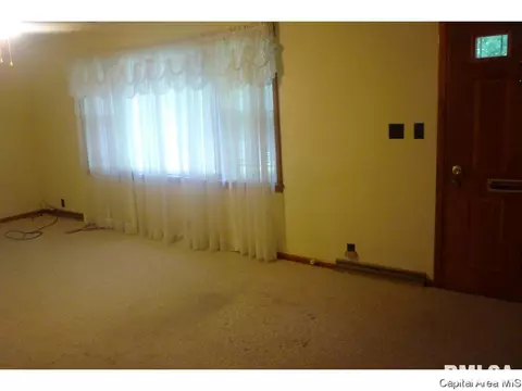 3217 S Rita Ave, Springfield, IL 62703 photo 12