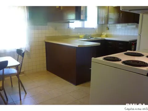 3217 S Rita Ave, Springfield, IL 62703 photo 7