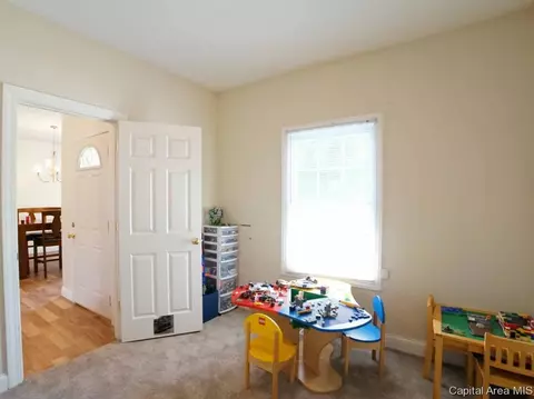 5 Turtle Cv, Chatham, IL 62629 photo 14