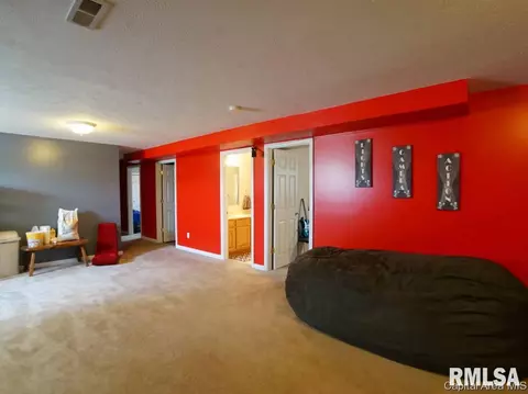 5 Turtle Cv, Chatham, IL 62629 photo 4