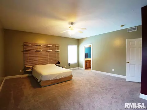 5 Turtle Cv, Chatham, IL 62629 photo 25