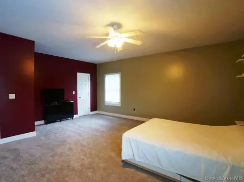 5 Turtle Cv, Chatham, IL 62629 photo 22