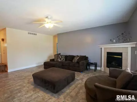 5 Turtle Cv, Chatham, IL 62629 photo 17