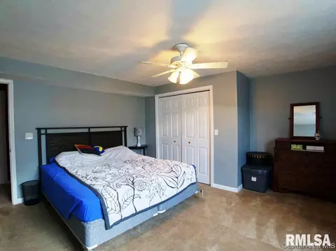 5 Turtle Cv, Chatham, IL 62629 photo 20