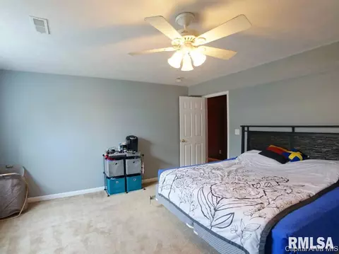 5 Turtle Cv, Chatham, IL 62629 photo 7