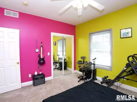 5 Turtle Cv, Chatham, IL 62629 photo 24