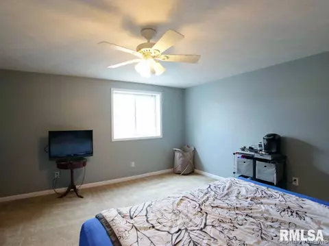 5 Turtle Cv, Chatham, IL 62629 photo 16
