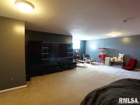 5 Turtle Cv, Chatham, IL 62629 photo 5