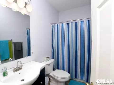 5 Turtle Cv, Chatham, IL 62629 photo 12