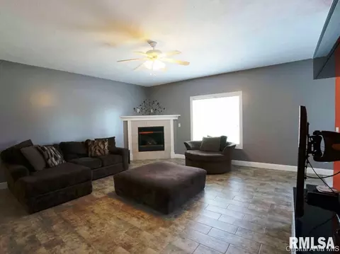 5 Turtle Cv, Chatham, IL 62629 photo 19