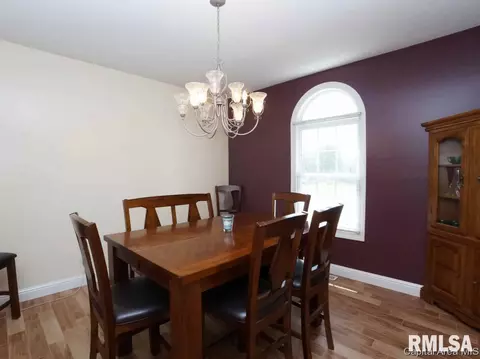 5 Turtle Cv, Chatham, IL 62629 photo 15
