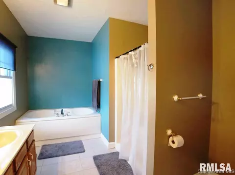 5 Turtle Cv, Chatham, IL 62629 photo 21