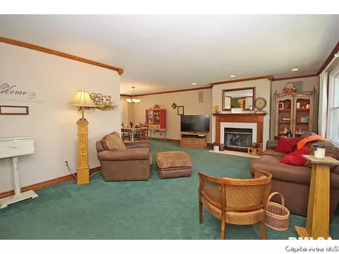 413 Barons Rd, Springfield, IL 62704 photo 25