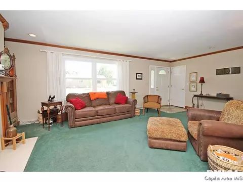 413 Barons Rd, Springfield, IL 62704 photo 28