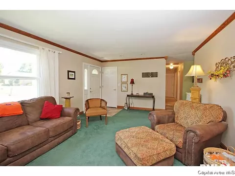 413 Barons Rd, Springfield, IL 62704 photo 27