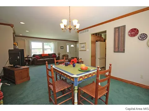 413 Barons Rd, Springfield, IL 62704 photo 30