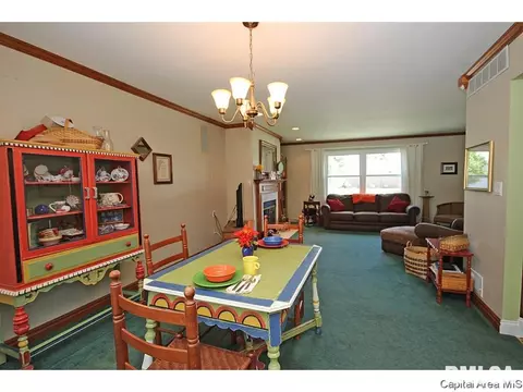 413 Barons Rd, Springfield, IL 62704 photo 20