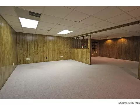 413 Barons Rd, Springfield, IL 62704 photo 34