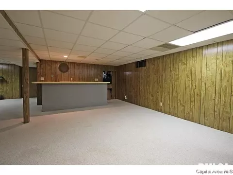 413 Barons Rd, Springfield, IL 62704 photo 33