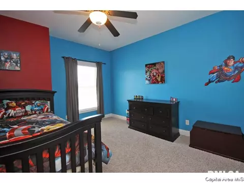 2701 Drennan Pl, Springfield, IL 62711 photo 20
