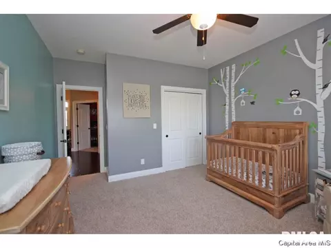 2701 Drennan Pl, Springfield, IL 62711 photo 18