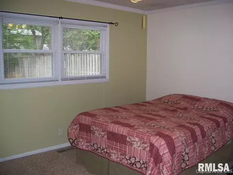 1209 Wickford, Springfield, IL 62704 photo 11