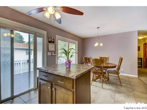 201 Kenyon Dr, Springfield, IL 62704 photo 11