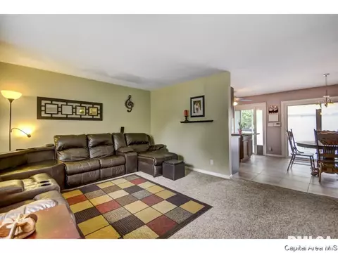 201 Kenyon Dr, Springfield, IL 62704 photo 5