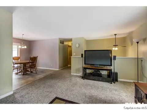 201 Kenyon Dr, Springfield, IL 62704 photo 4