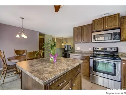 201 Kenyon Dr, Springfield, IL 62704 photo 8
